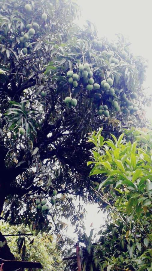 The Place Apartment Escazu Luaran gambar